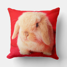 Little Bunny Pillow Kissen