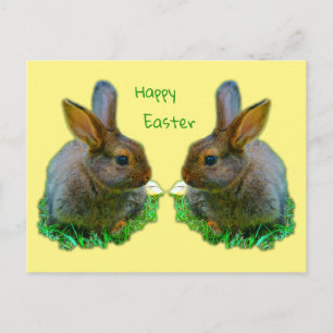 Little Bunny Postkarte