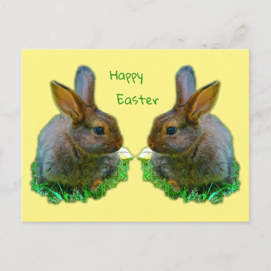 Little Bunny Postkarte (Vorderseite)