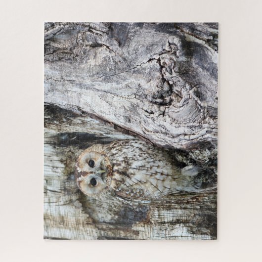 Little Camouflage Owl in Tree Puzzle (Vertikal)