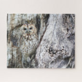Little Camouflage Owl in Tree Puzzle (Horizontal)