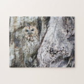 Little Camouflage Owl in Tree Puzzle (Horizontal)