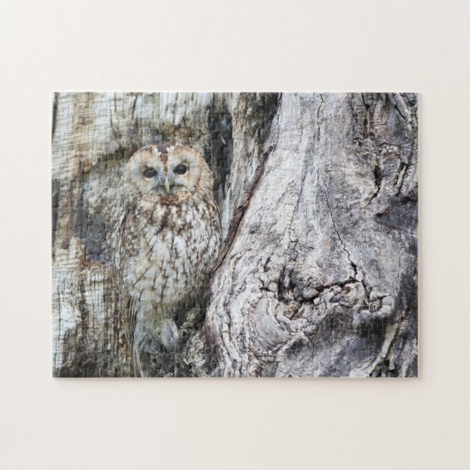 Little Camouflage Owl in Tree Puzzle (Horizontal)