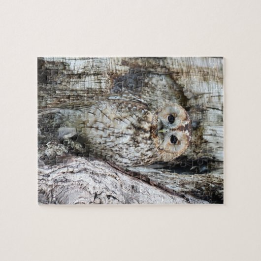 Little Camouflage Owl in Tree Puzzle (Horizontal)