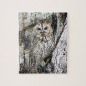 Little Camouflage Owl in Tree Puzzle (Vertikal)