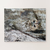 Little Camouflage Owl in Tree Puzzle (Horizontal)