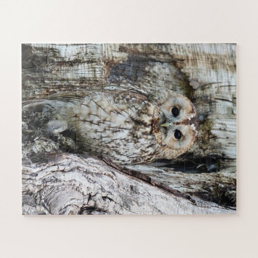 Little Camouflage Owl in Tree Puzzle (Horizontal)