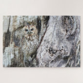Little Camouflage Owl in Tree Puzzle (Horizontal)