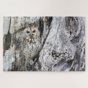 Little Camouflage Owl in Tree Puzzle