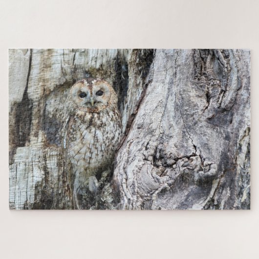 Little Camouflage Owl in Tree Puzzle (Horizontal)