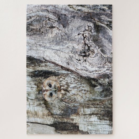 Little Camouflage Owl in Tree Puzzle (Vertikal)