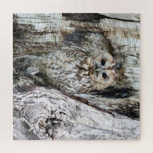 Little Camouflage Owl in Tree Puzzle (Horizontal)