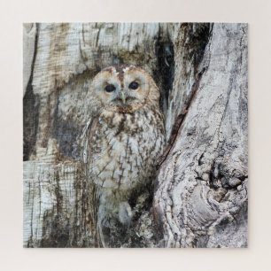Little Camouflage Owl in Tree Puzzle