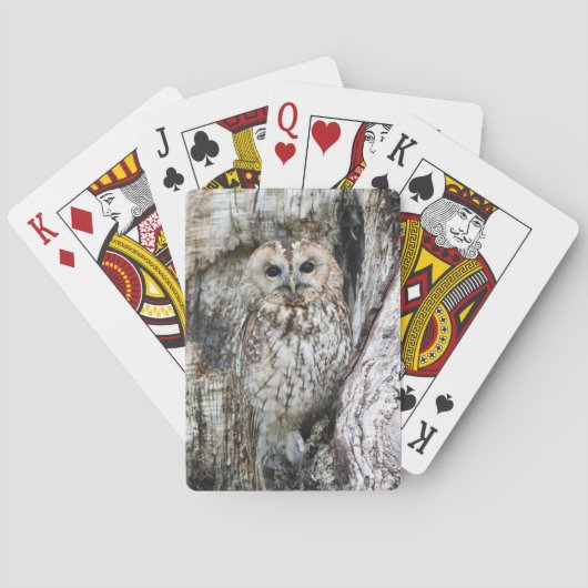 Little Camouflage Owl in Tree Spielkarten (Rückseite)