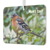 Little Chaffinch Friseur Autolufterfrischer (Links)