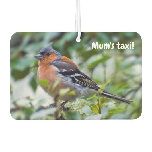Little Chaffinch Friseur Autolufterfrischer (Vorderseite)
