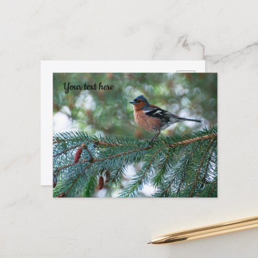 Little Chaffinch Postcard Postkarte (Vorderseite/Rückseite Beispiel)