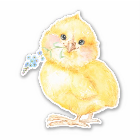 Little Chick Sticker (Vorderseite)