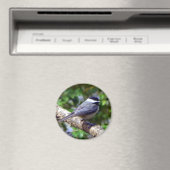 Little Chickadee Magnet (In Situ (Geschirrspüler))