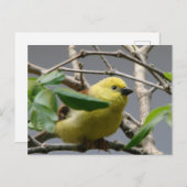 Little Chickadee Postkarte (Vorne/Hinten)