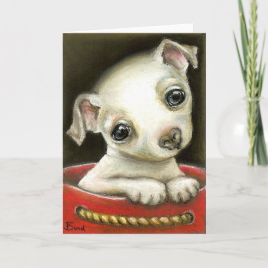 Little Chihuahua Karte (Vorderseite)