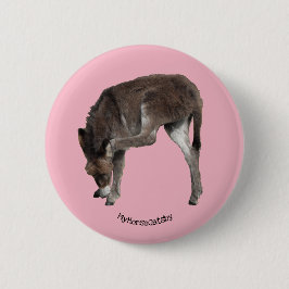 Little Chocolate Donkey Foal Scratching Ohr Button