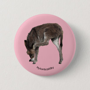 Little Chocolate Donkey Foal Scratching Ohr Button