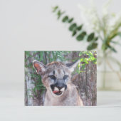 Little Cougar Cub Postcard Postkarte (Stehend Vorderseite)