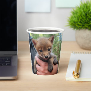 Little Coyote Pappbecher