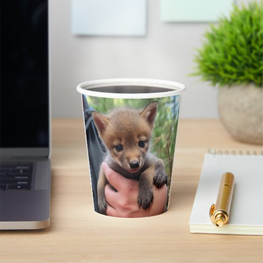 Little Coyote Pappbecher (InSitu)