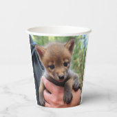 Little Coyote Pappbecher (Rückseite)