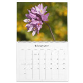 Little Critters 2014 Kalender (Feb 2027)