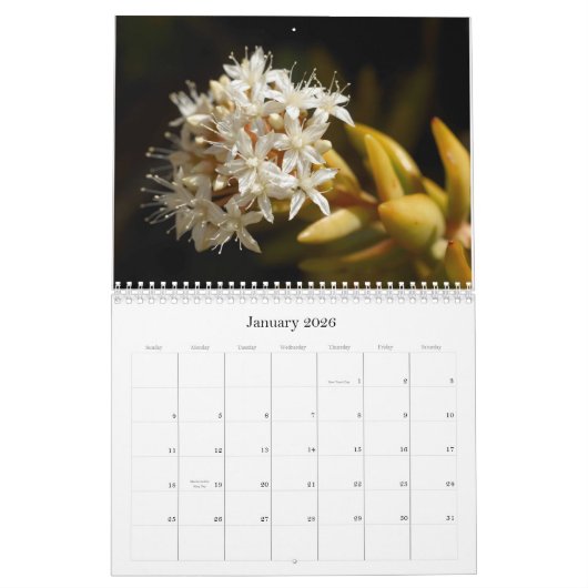 Little Critters Calendar (Mittel) Kalender (Jan 2026)