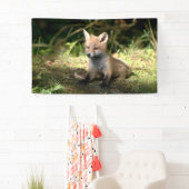 Little Cub Red Fox Banner (Insitu)