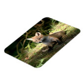 Little Cub Red Fox Magnet (Linke Seite)