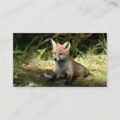 Little Cub Red Fox Visitenkarte (Rückseite)