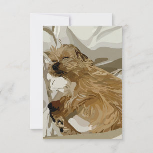 Little Daisy der Hund Dankeskarte