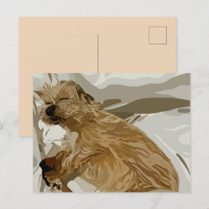 Little Daisy dog Feiertagspostkarte