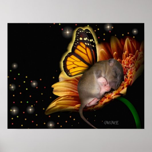 Little Daisy Dreamer Poster (Vorne)