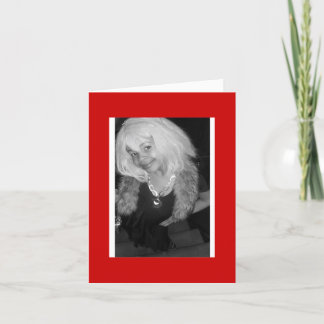 Little Diva Card Karte