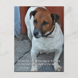 Little Dog Big Heart Postkarte