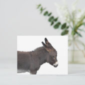 Little Donkey Postcard Postkarte (Stehend Vorderseite)