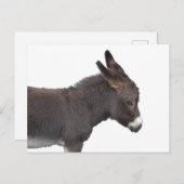 Little Donkey Postcard Postkarte (Vorne/Hinten)