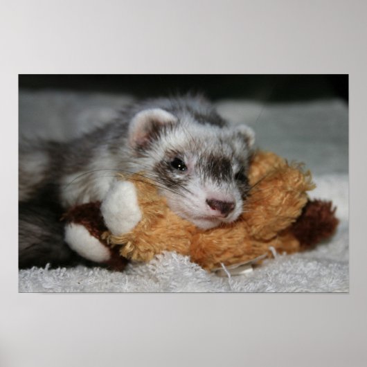 Little Dooks Penny Poster (Vorne)