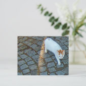 Little Dot Ephesus Cat Postkarte (Stehend Vorderseite)