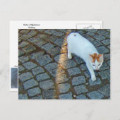 Little Dot Ephesus Cat Postkarte (Vorne/Hinten)