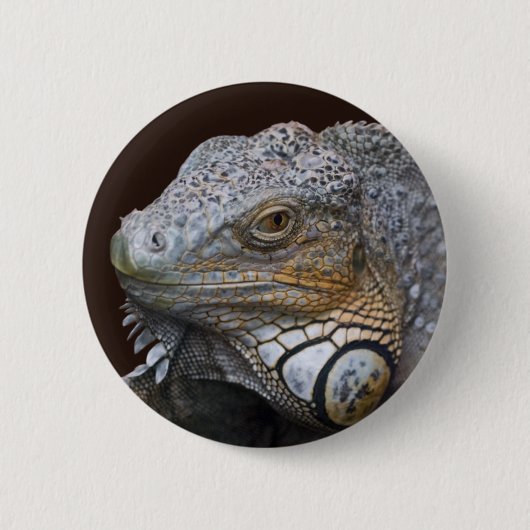 Little Dragon Bag Button (Vorderseite)