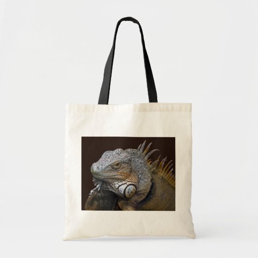 Little Dragon Bag Tragetasche (Vorne)