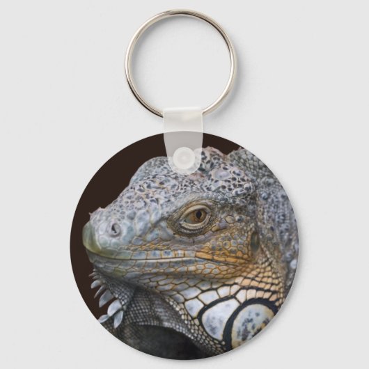 Little Dragon Keyring Schlüsselanhänger (Vorderseite)