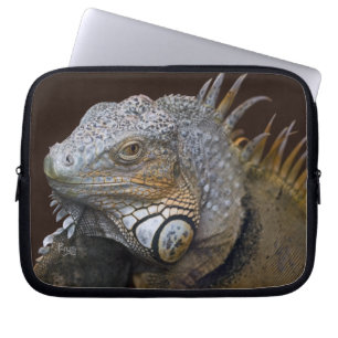 Little-Dragon-Laptop-Hülle Laptopschutzhülle